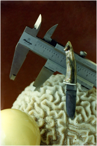Bébé couteau